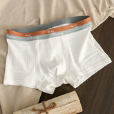 Bubble Cotton Men's Boxer Briefs Antibacterial Breathable Sweat Absorbent
